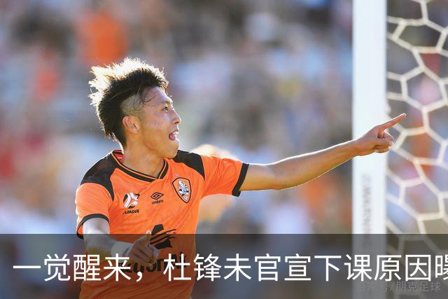 一觉醒来，杜锋未官宣下课原因曝光！徐杰确定留队，陈家政好消息