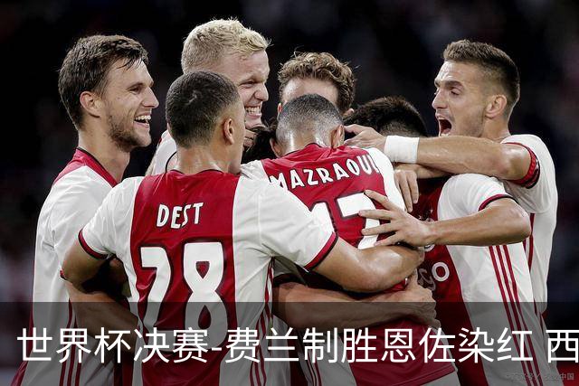 世界杯决赛-费兰制胜恩佐染红 西班牙加时1-0阿根廷夺冠