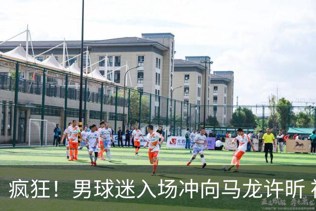 疯狂！男球迷入场冲向马龙许昕 被拦住仍想挣脱 龙蟒心软与他握手