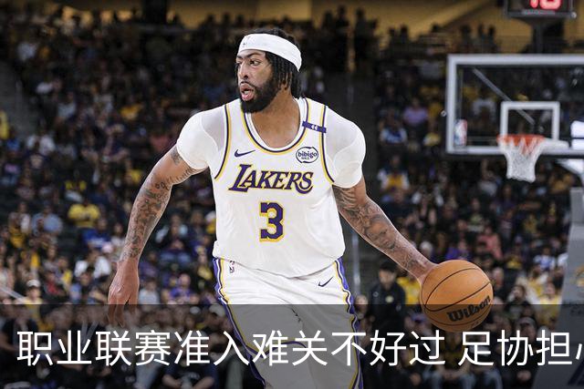 职业联赛准入难关不好过 足协担心并不是多余