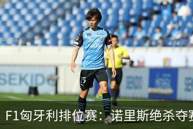 F1匈牙利排位赛：诺里斯绝杀夺赛季正赛首杆，汉密尔顿第二